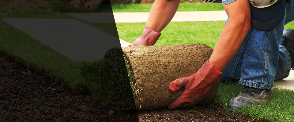 Hoffman Estates Landscapers